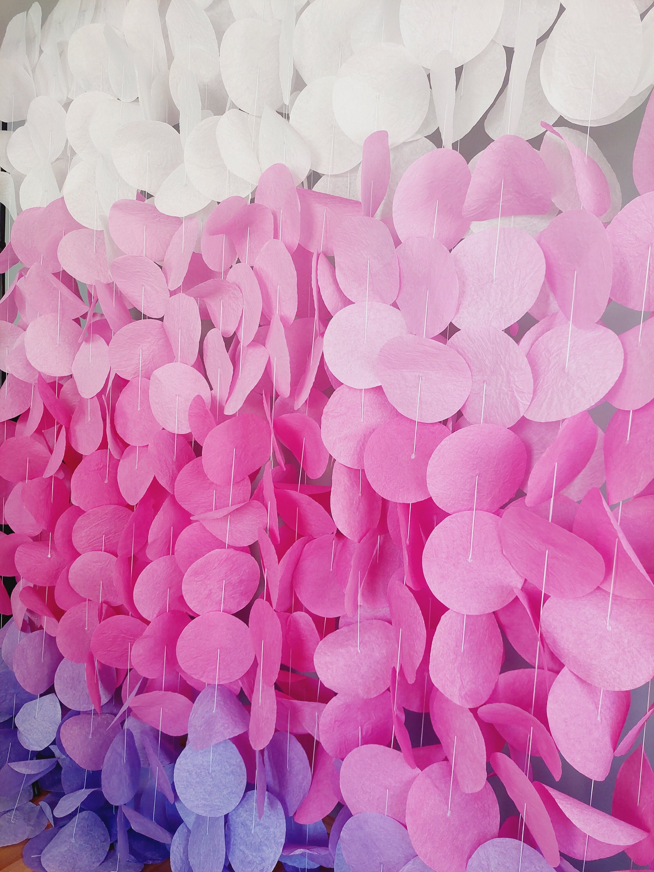 Pink Ombre Paper Circle Garland: Party Backdrop Decor - Etsy