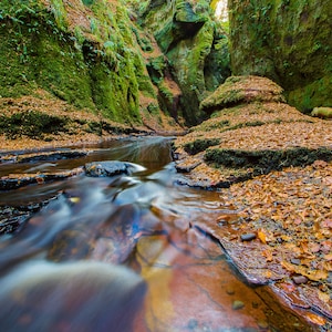 May include: A stream flows through a narrow, rocky gorge covered in moss and autumn leaves.