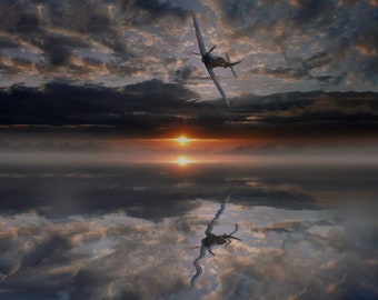 The Last Spitfire Digital Download