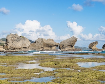 Playa Bathsheba - Barbados, Foto Panorámica, Descarga Digital, Imprimir Su Propio, PC Wallpaper
