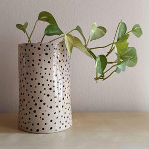Può includere: Un vaso in ceramica bianca con un motivo a pois neri, che contiene una pianta variegata verde e bianca con viti rampicanti.