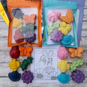 Garden Bug Crayon Party Favors, Bug Party Favor, Kids Gifts, Stocking Stuffers, Easter Basket Gift, Kids Present, Preschool, Elementary
