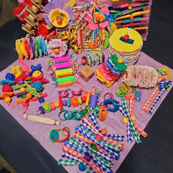 Parrot Toys Etsy
