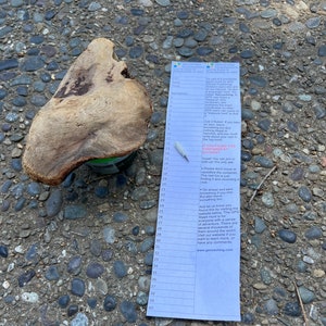 May include: A blue and white paper log book with the text "YOU FOUND THIS CONTAINER BY ACCIDENT" and instructions for geocaching. The log book is lying on a bed of small, gray rocks.