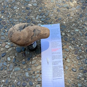 May include: A blue and white card with the text "Geocaching" and "Geocaching.com" printed on it. The card has a numbered scale on the left side and a list of rules and instructions on the right side. The card is lying on a bed of small, gray rocks.