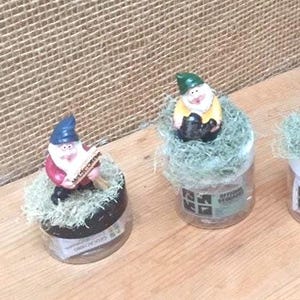 GNOME Garden Geocache Container Hide & Seek Cache Small size geocache - geocaching game piece