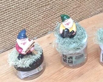 GNOME Garden Geocache Container Hide & Seek Cache Small size geocache - geocaching game piece