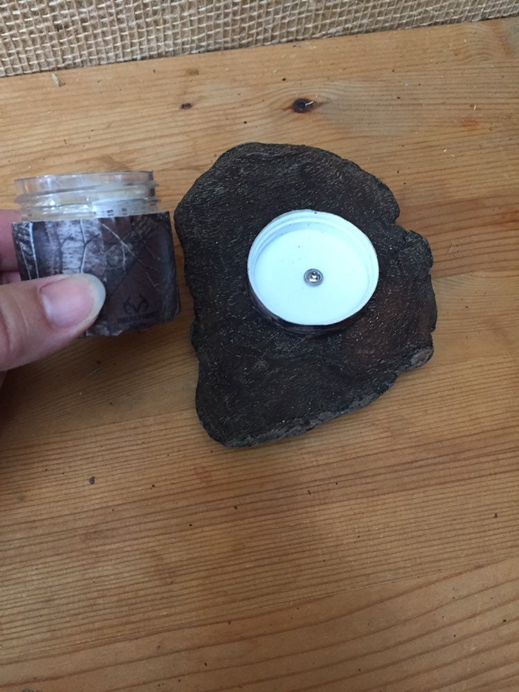 Geo Cache Driftwood Camo Fun Size Plastic Container Caching Container ...