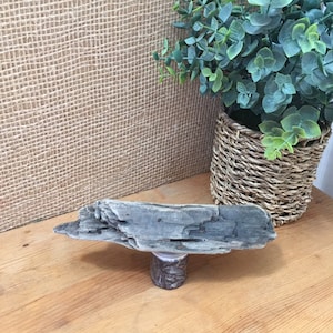 May include: A gray driftwood piece, mounted on a small, cylindrical base, sits on a wooden surface. A woven basket with green foliage is in the background. The driftwood has a weathered appearance, adding a natural, rustic element.