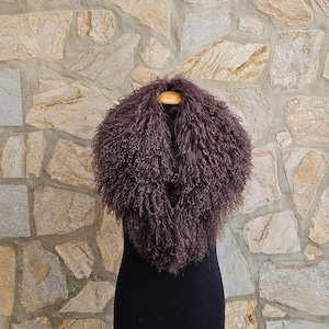 May include: A brown curly sheepskin collar with a long, flowing design. The collar is displayed on a black mannequin against a stone wall background.