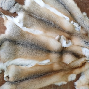 Fur pelts,real fox skin,luxury quality fur pelts