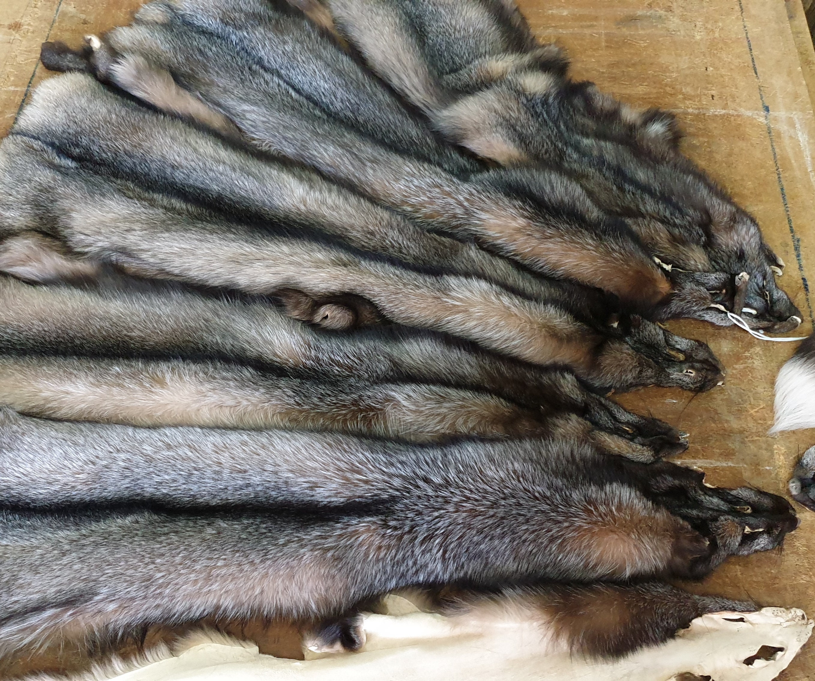 Pelz Pelze echte Kristall fuchs Haut Luxus Qualität Pelze Etsy Pelz Pelze echte Kristall fuchs Haut Luxus Qualität Pelze Etsy