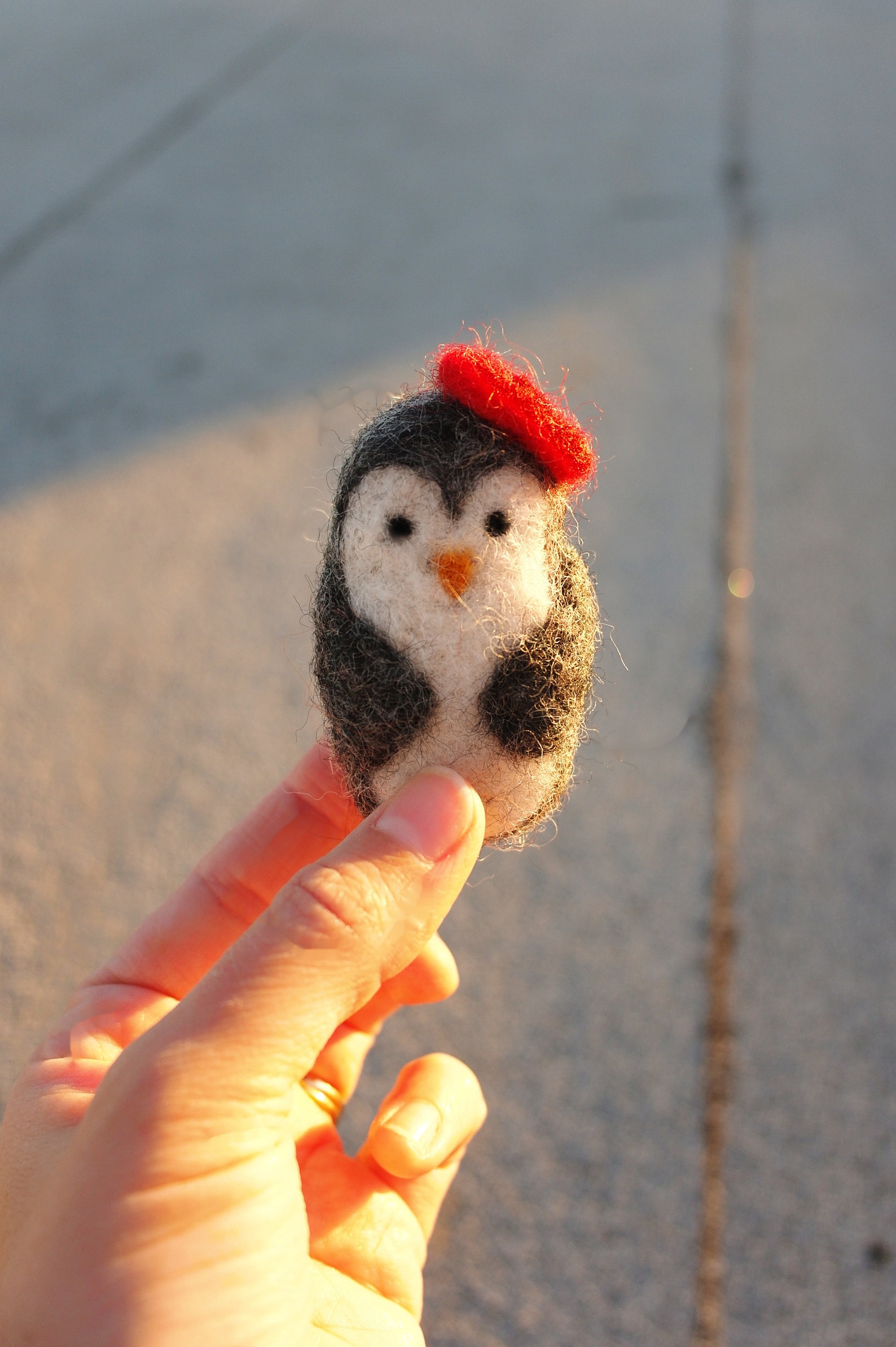 penguin beret