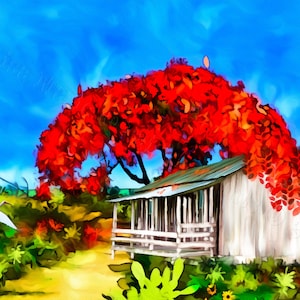 Flamboyant and Cracker Sea House Fine Art Giclée Print | Great Gift Ideas | Unique Paintings | Traditional Artwork | Artistic Merchandise