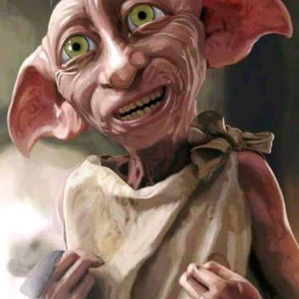Dobby Etsy