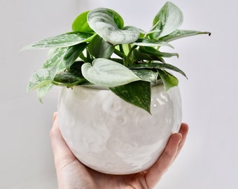 Moon Jar White Ceramic Planter Pot with Craters