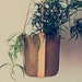 see more listings in the Hanging Planters section