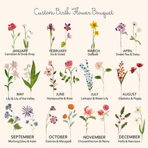 May include: A chart with illustrations of flowers representing the birth month. Each month is labelled with the month name and the corresponding flower. For example, January is represented by a carnation and snowdrop.