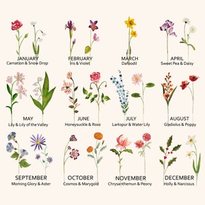 May include: A watercolor illustration of flowers representing each month of the year. The flowers are arranged in a grid with the month name and the flower names below each image. January is represented by a carnation and snowdrop, February by an iris and violet, March by a daffodil, April by a sweet pea and daisy, May by a lily and lily of the valley, June by honeysuckle and rose, July by larkspur and water lily, August by gladiolus and poppy, September by morning glory and aster, October by cosmos and marigold, November by chrysanthemum and peony, and December by holly and narcissus.