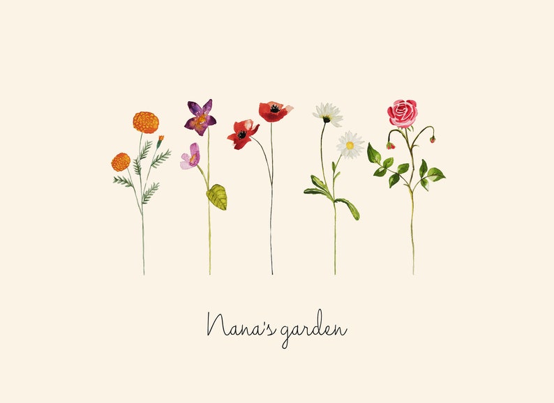 May include: A watercolor illustration of a garden with seven different flowers, including a red poppy, a pink rose, a white daisy, a purple orchid, and orange marigolds. The text "Nana's garden" is written below the flowers.