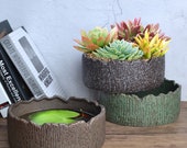 Succulent Planter Flowers Planter Plant Pot Ceramic Large Resin Container Gardening Indoor or Outdoor Hydroponic Plant Pot Gift Decor