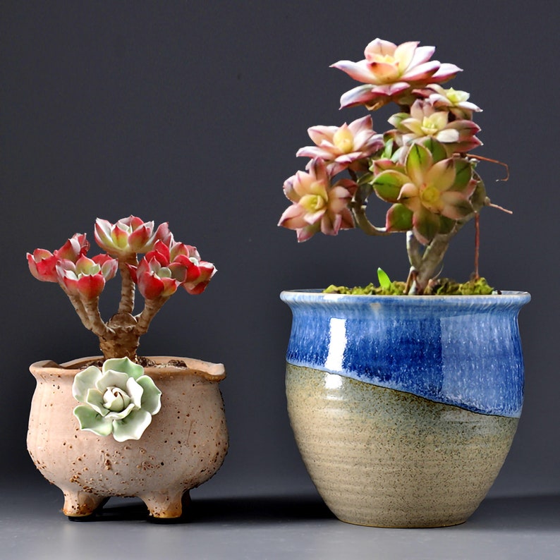 Cute Small Flowers Plant Ceramic Gardening Indoor or Outdoor Plant Pot Gift /& Decor Plants Not Included Colorful Succulent Pots