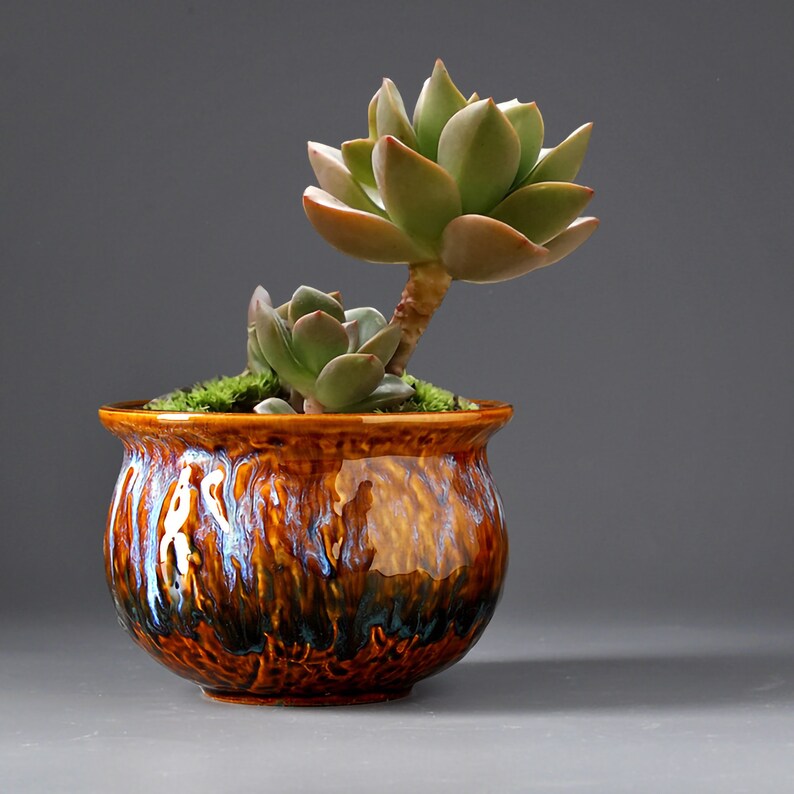 Cute Small Flowers Plant Ceramic Gardening Indoor or Outdoor Plant Pot Gift /& Decor Plants Not Included Colorful Succulent Pots