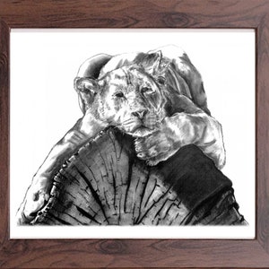 Relaxing Lion - Pencil illustration print