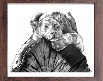 Relaxing Lion - Pencil illustration print