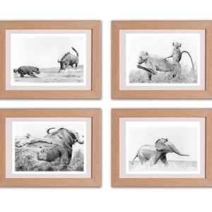 Hand-drawn pencil Wildlife prints - GIFT PACKAGE (4 for the price of 2)
