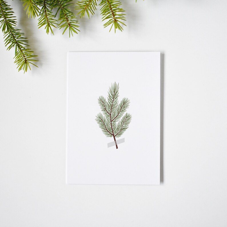 Eco-friendly Pine Branches Print Christmas Cards Festive Holiday Greetings Elemente Design