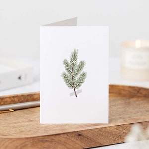Eco-friendly Pine Branches Print Christmas Cards Festive Holiday Greetings Elemente Design