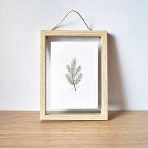 Eco-friendly Pine Branches Print Christmas Cards Festive Holiday Greetings Elemente Design