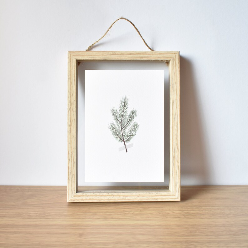 Eco-friendly Pine Branches Print Christmas Cards Festive Holiday Greetings Elemente Design