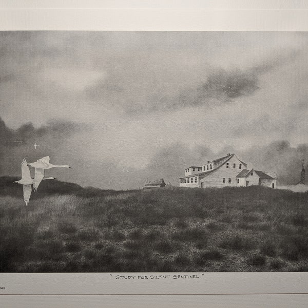 Herb Jones Prints Etsy