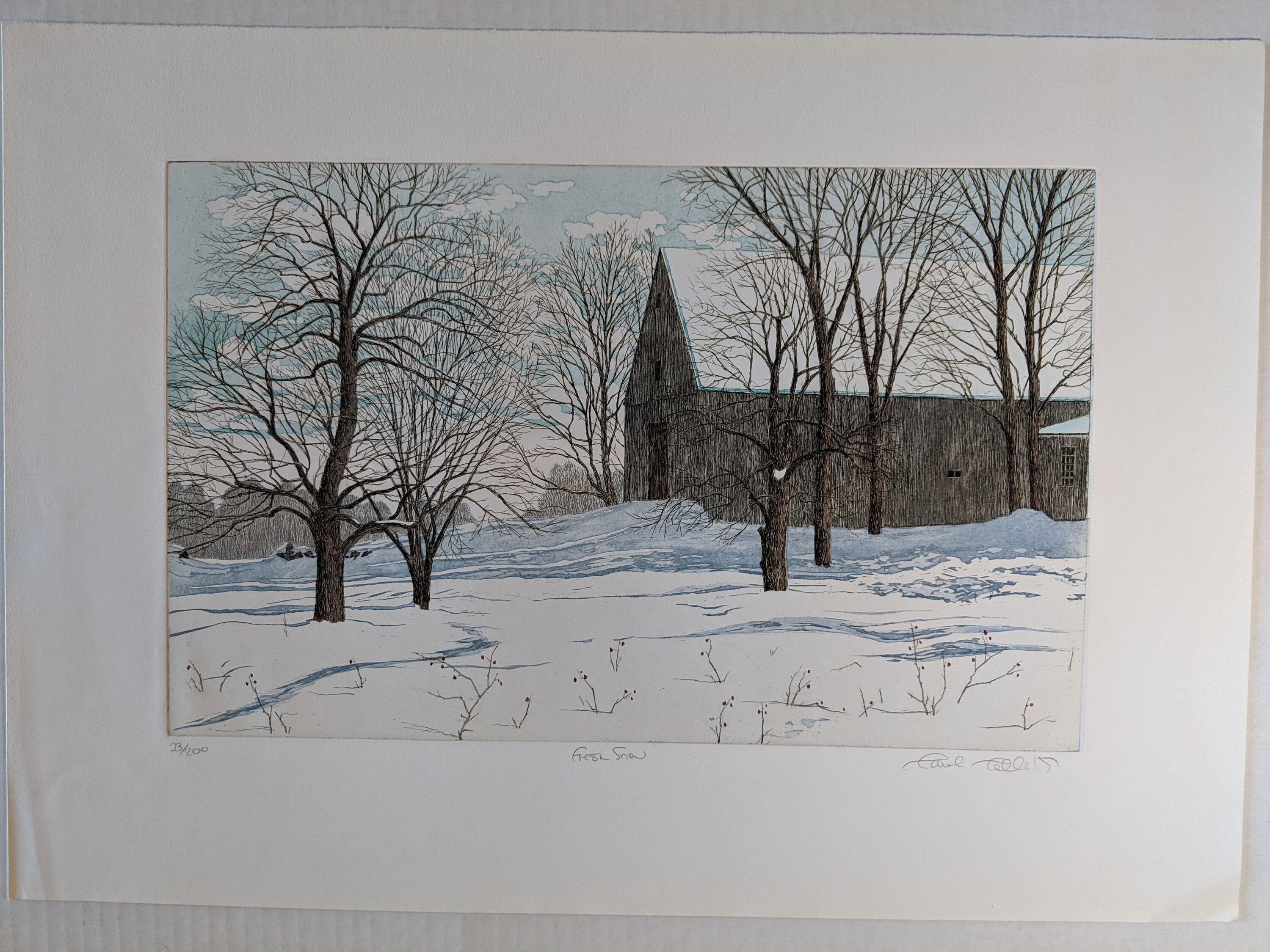 キャロルコレット Low Tide サイン入り-