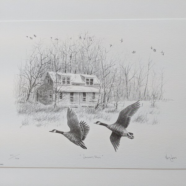 Herb Jones Prints Etsy