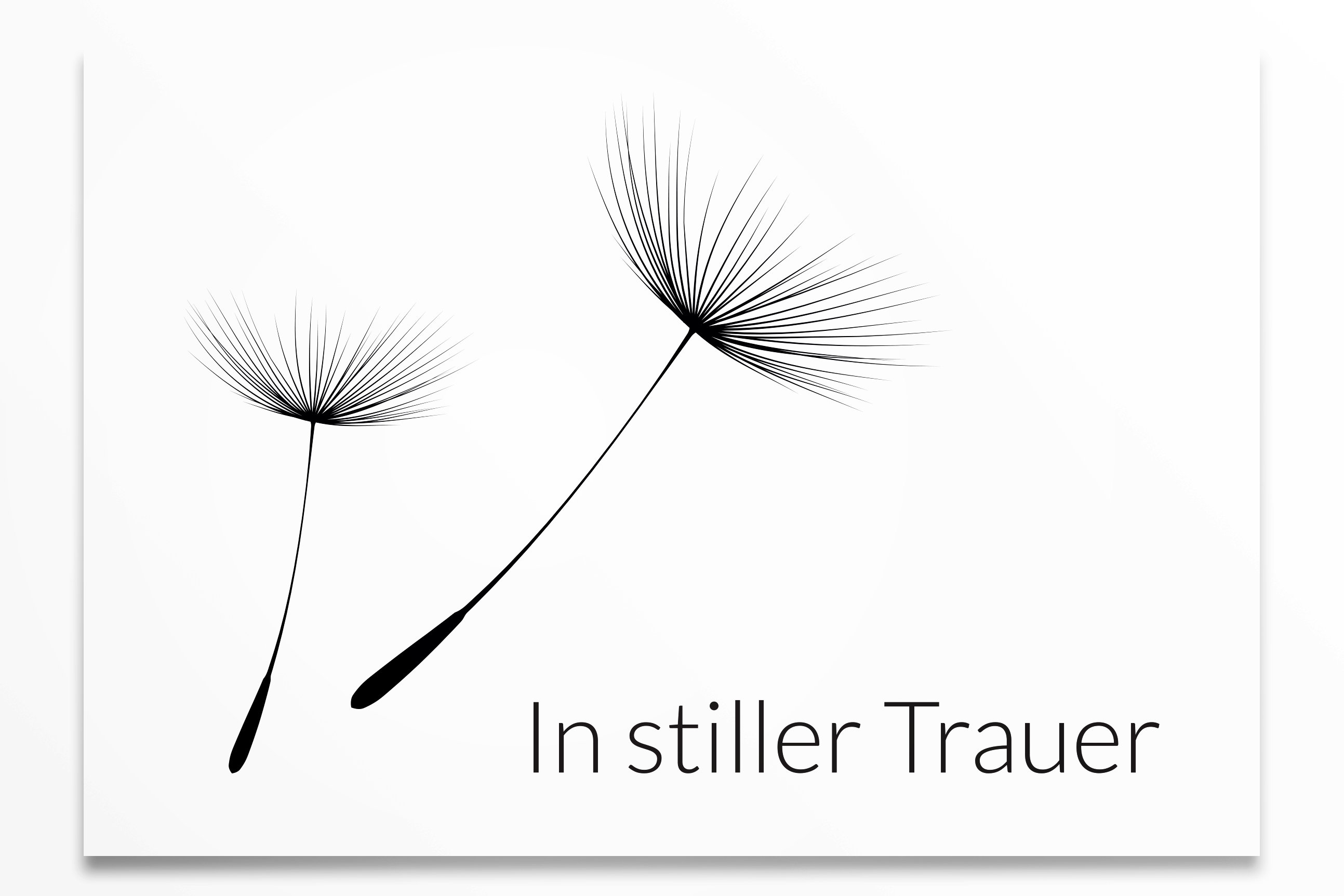Bild Pusteblume Trauer Kostenlos: A Comprehensive Guide