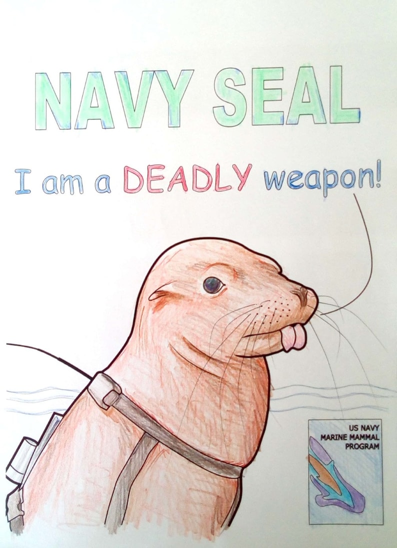 Navy Seals Printable PDF Coloring Pages Instant Download, Super Sharp