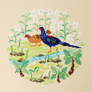 Kit punto croce, tema natura, uccelli esotici, fagiano blu, marchio Xiu Crafts