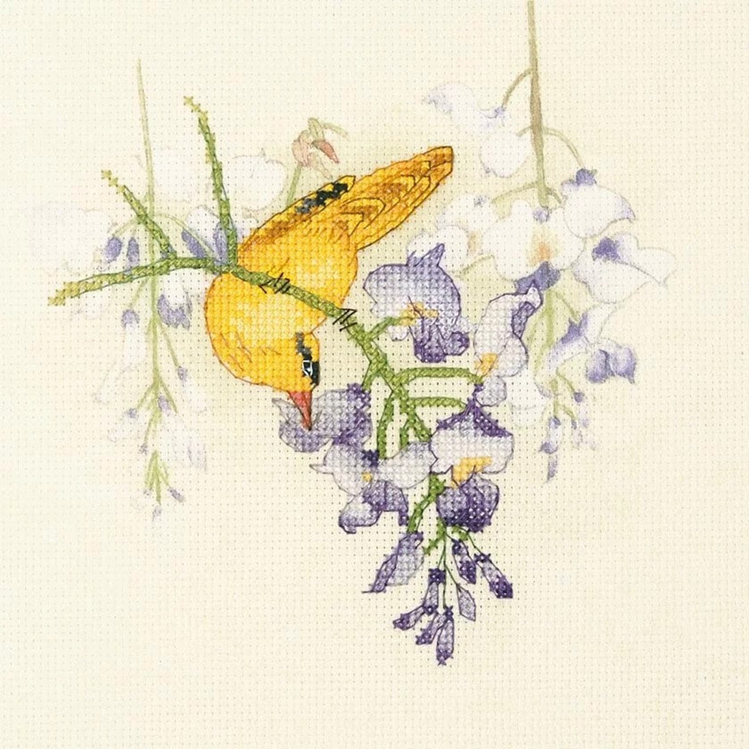 Cross Stitch Kit oriole, Complete Beginner Counted Cross Stitch Kit
