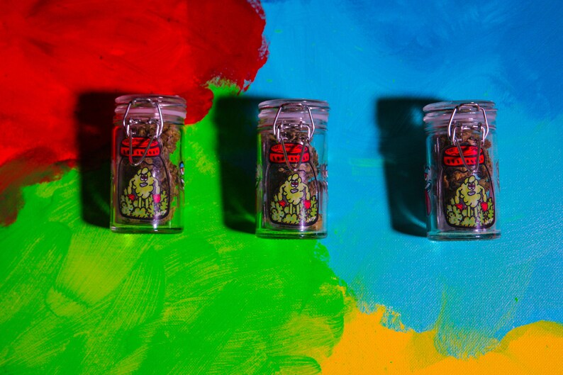 Weed Stash Jar Gift for Cool People