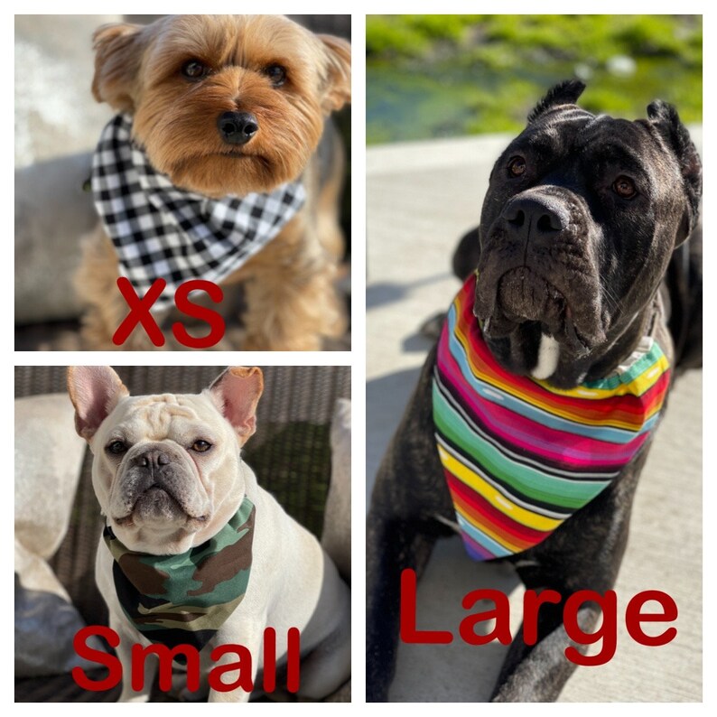 st patricks day bandanas for dogs