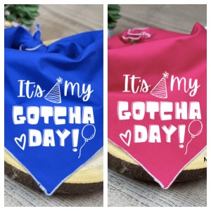 Its my gotcha day bandana | Dog Birthday Bandana | Boy Dog Bandana | Girl Dog Bandana | Tie on Birthday bandana | rescue dog