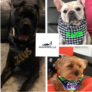 May include: Three dogs wearing bandanas with their names on them. The dog on the left is a black and brown Cane Corso wearing a camouflage bandana with the name "ZEUS" on it. The dog in the middle is a white French Bulldog wearing a black and white checkered bandana with the name "TANK" on it. The dog on the right is a brown Yorkshire Terrier wearing a rainbow bandana with the name "Chloe" on it.