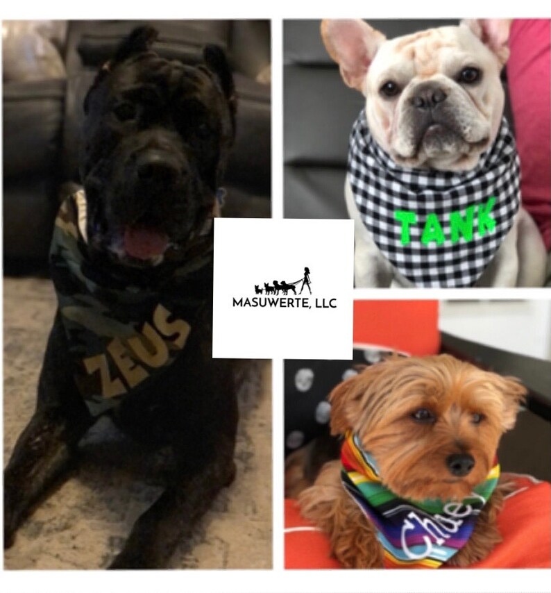 May include: Three dogs wearing bandanas with their names on them. The dog on the left is a black and brown Cane Corso wearing a camouflage bandana with the name "ZEUS" on it. The dog in the middle is a white French Bulldog wearing a black and white checkered bandana with the name "TANK" on it. The dog on the right is a brown Yorkshire Terrier wearing a rainbow bandana with the name "Chloe" on it.