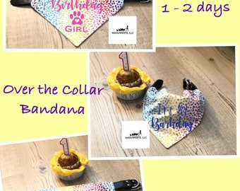 Dog Birthday Bandana, Slides on over the collar, personalized, dog scarf, birthday boy girl dog bandana, neckerchief, dog gift, barkday