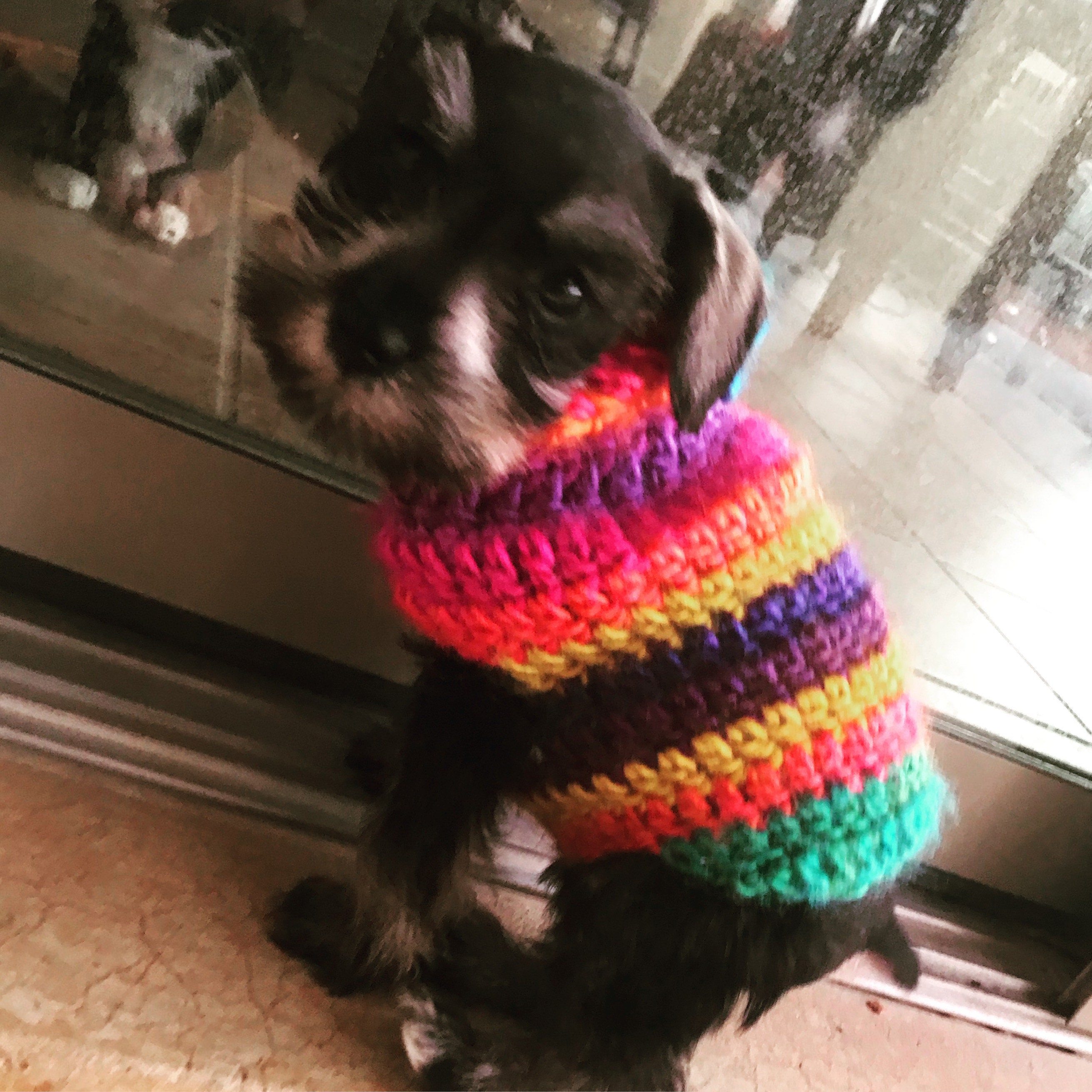 dog sweaters etsy