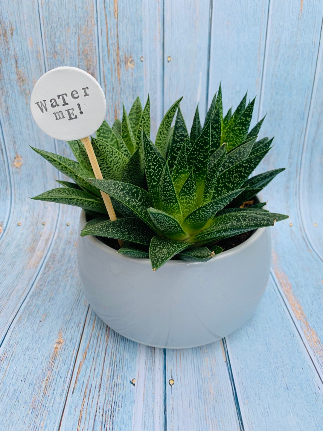 Plant Tags, Herb Garden Tags, Plant Labels, Herb Labels, Funny Plant