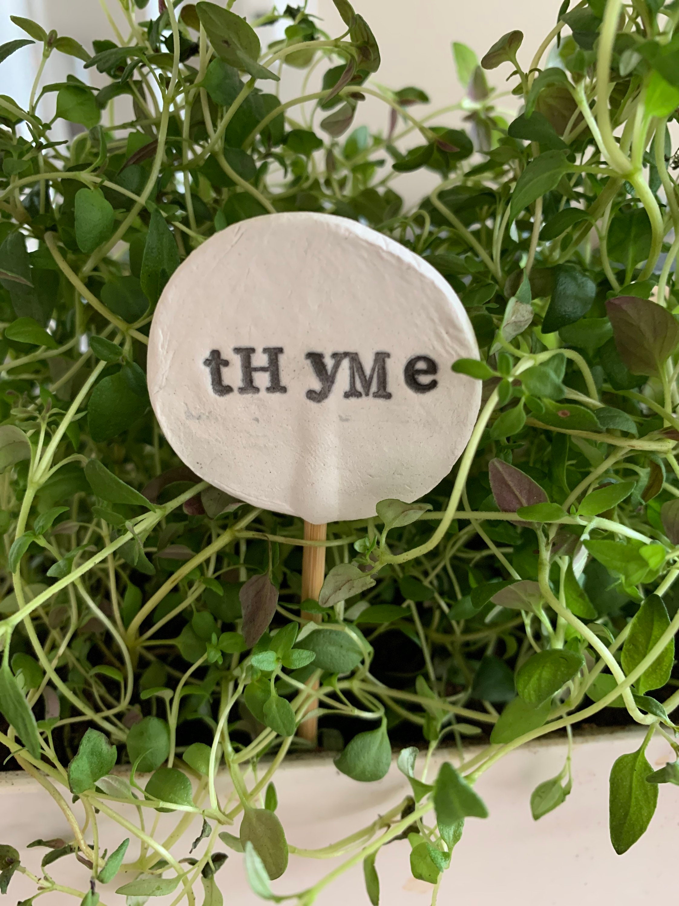 Plant tags herb garden tags plant labels herb labels funny Etsy